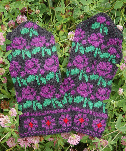 Lillrosa