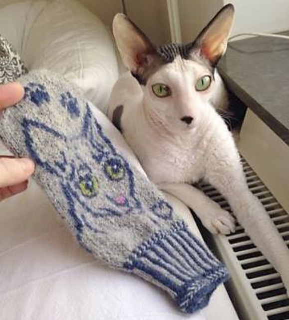 Cat Cornish Rex Mittens