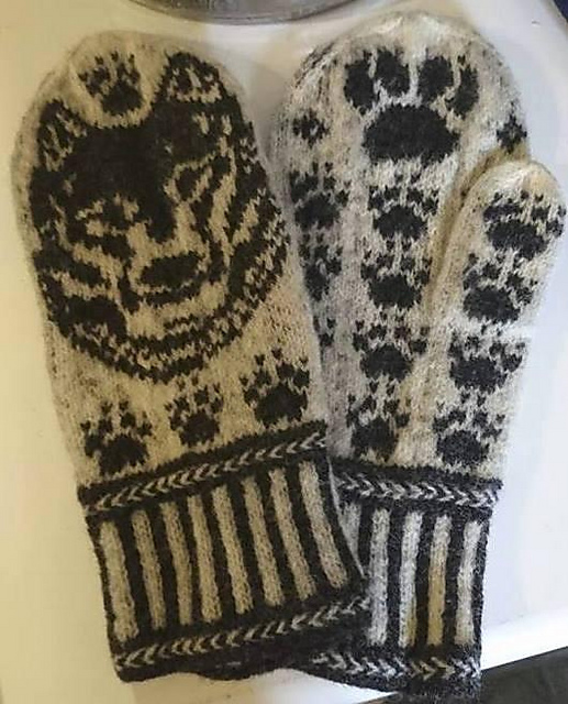 Elkhound Jämthund Mittens