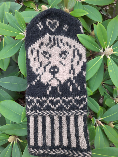 Rhodesian Ridgeback Mittens