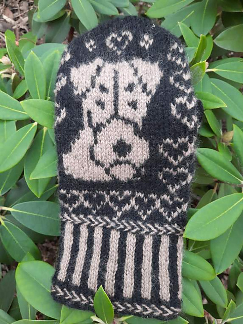 Terrier Mittens