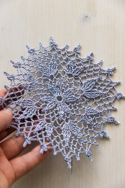 Daniele Doily