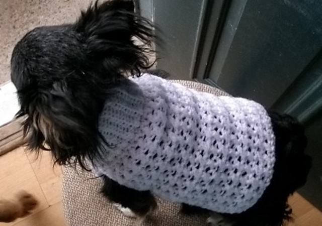 Criss Cross Dog Sweater