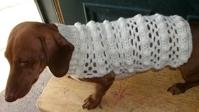Bobbles and Waves Dog Sweater