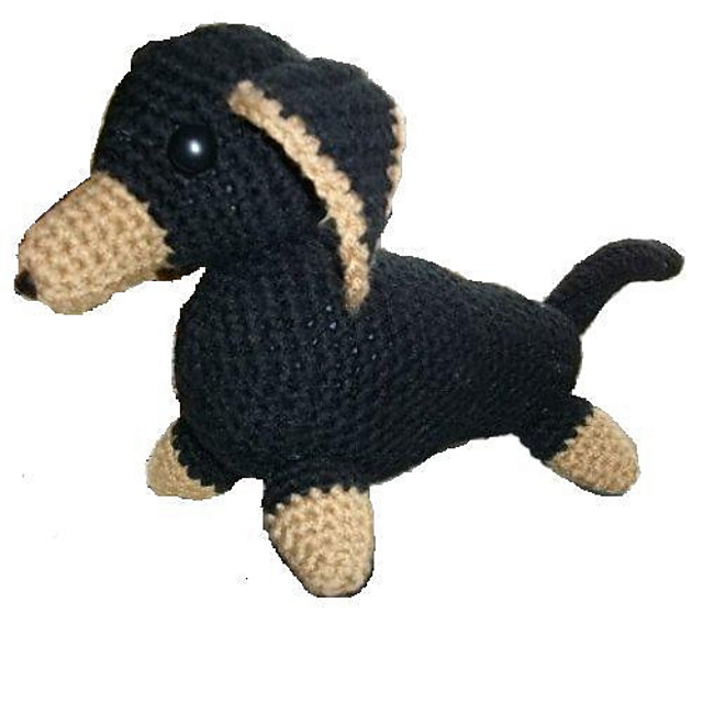 Dachshund Dog
