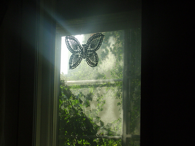 7003 Butterfly