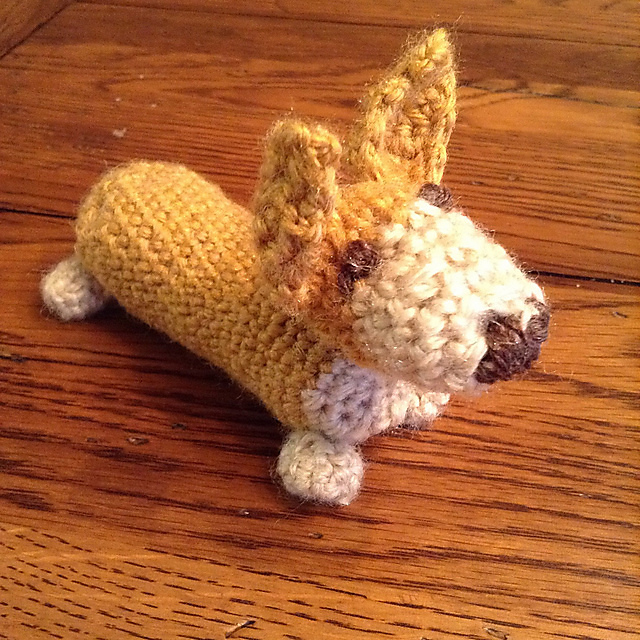 Chibi the Mini Corgi