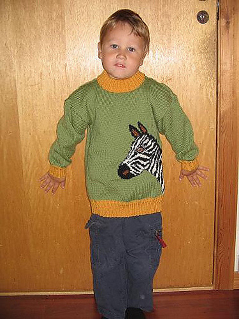 Dyreparken zebra sweater