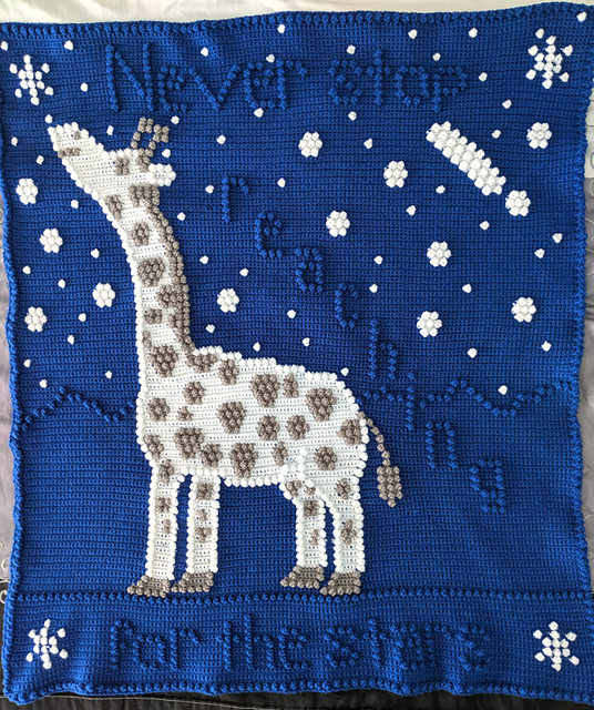 Reach for the Stars Afghan