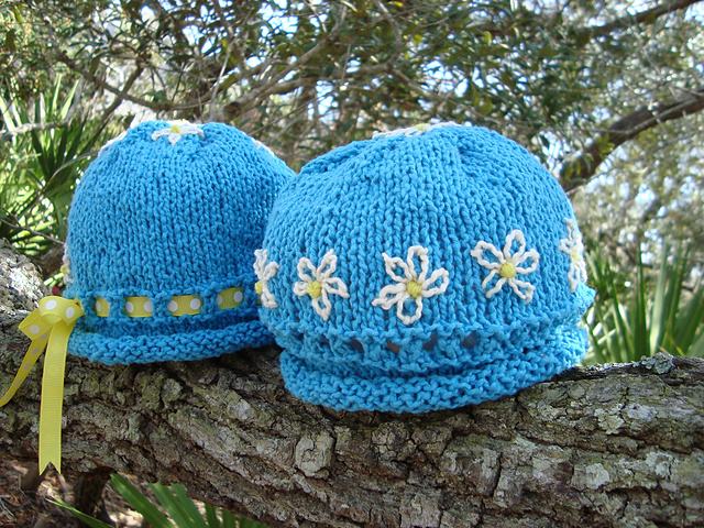 Don't Eat the Daisies Hat