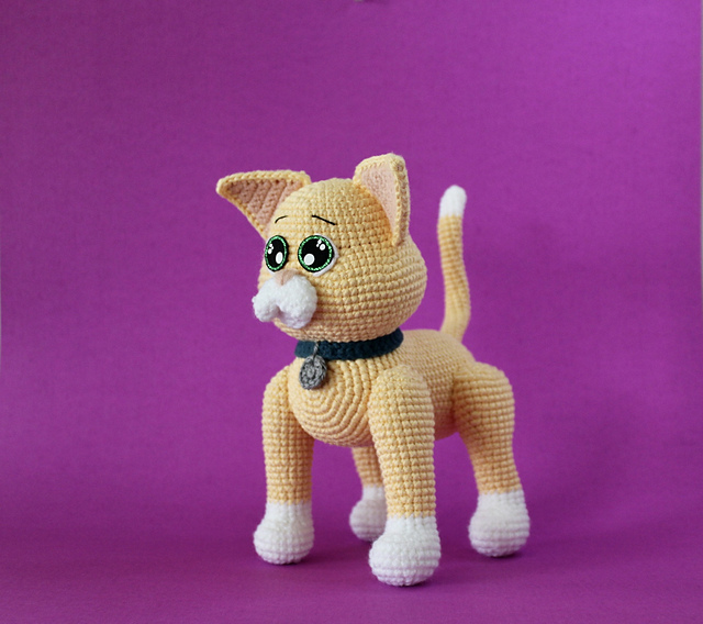 Oliver The Cat