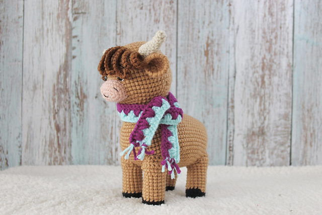 Standing highland cow
