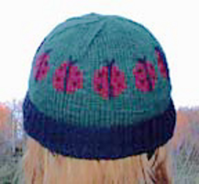 Betsi's Ladybug Hat