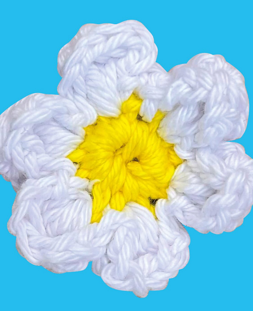 Daisy Day 2025