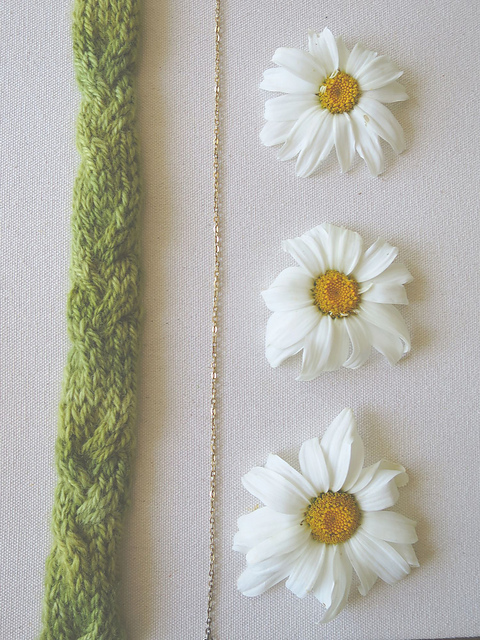 Daisy Rain