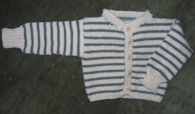 Baby's Zebra Jacket