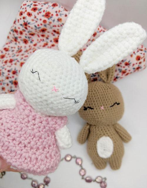 Mingming the Mini Bunny