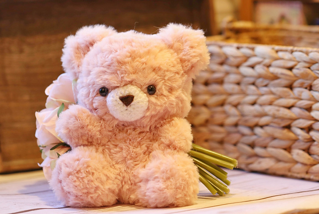 Fluffle the Bear