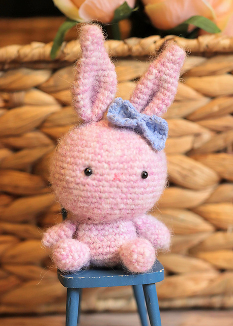 Sugar the Mini Bunny