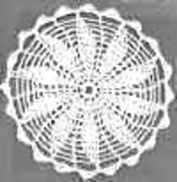 Flower Doily