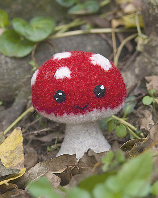 Felted Knit Shroomy