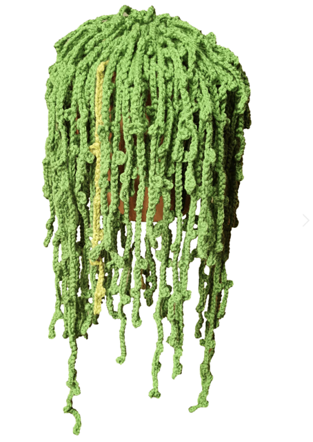 Easy Crochet Plant