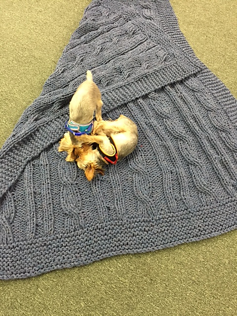 "My Kids' Friends" Reversible Afghan