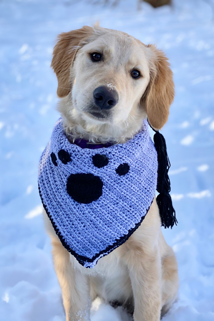 Pretty Paws Bandana