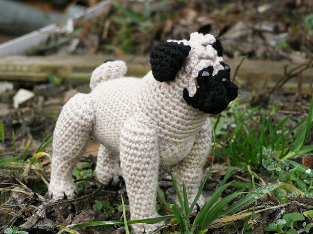 Puggie Dog