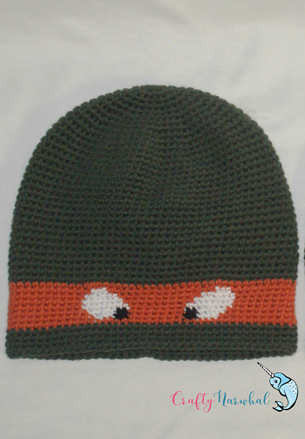Masked Turtle Hat