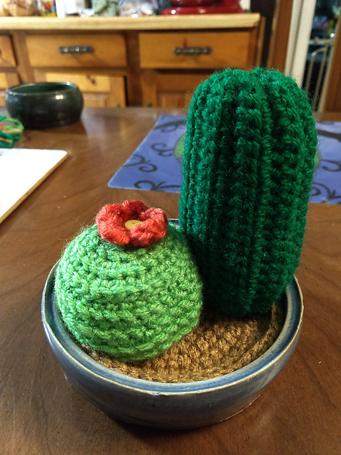 Round Cactus