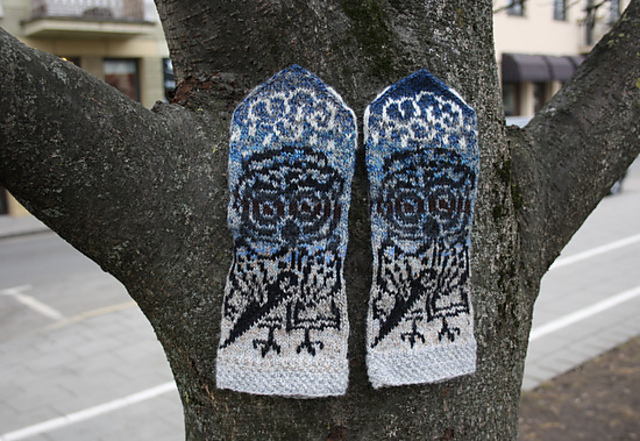 Rainy Owl