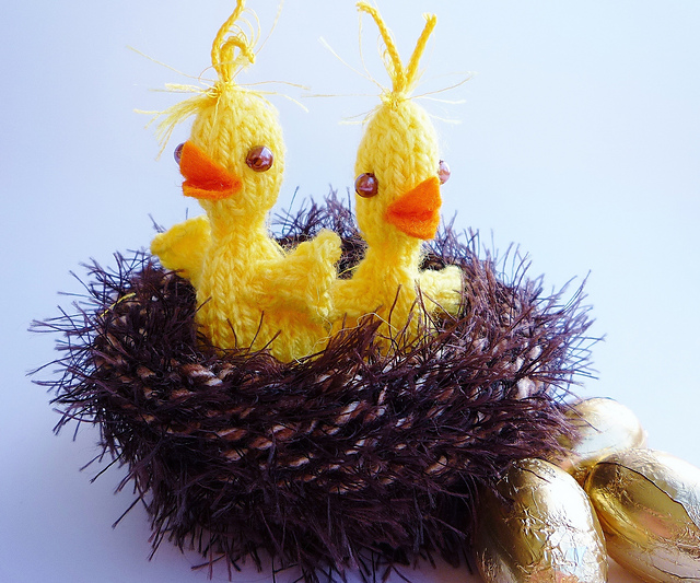 CHICK & NEST