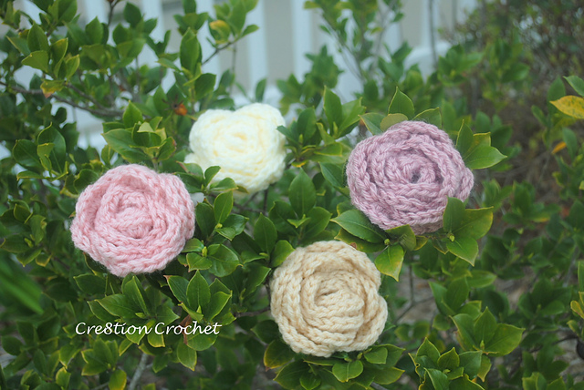 Large Roses