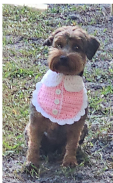 Princess Pooch