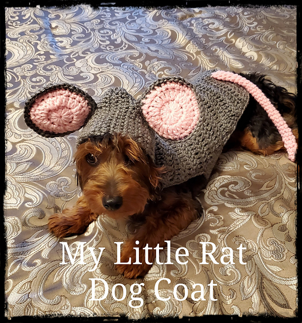 My Little Rat Dog Coat