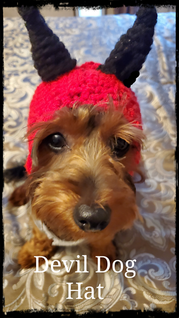 Devil Dog Hat