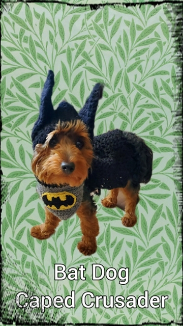 Batdog Caped Hoodie Cowl