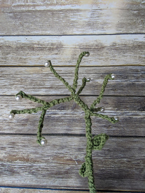 Baby's Breath