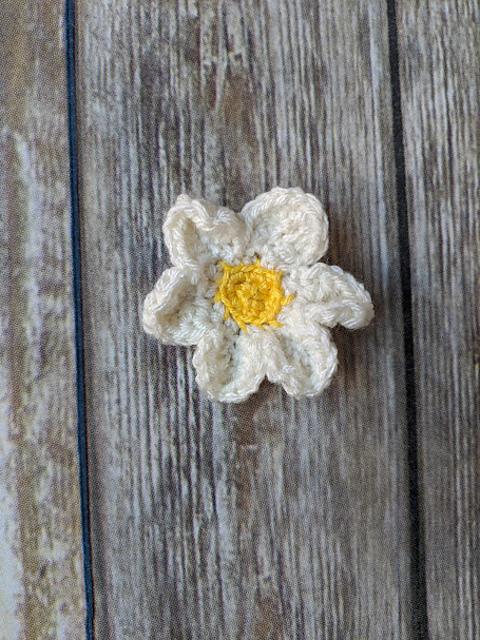 Daisy Barrette