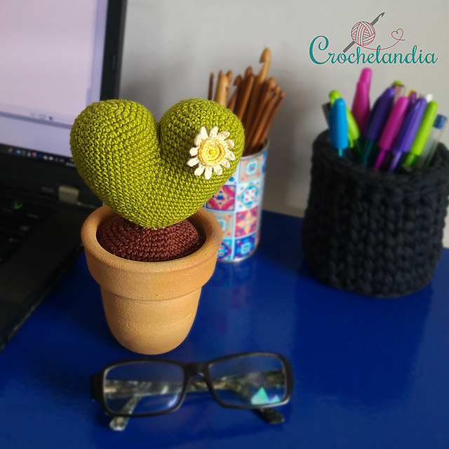 Cactus Amore