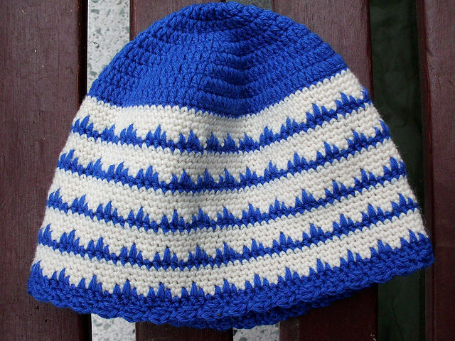 Ice Ferns Hat