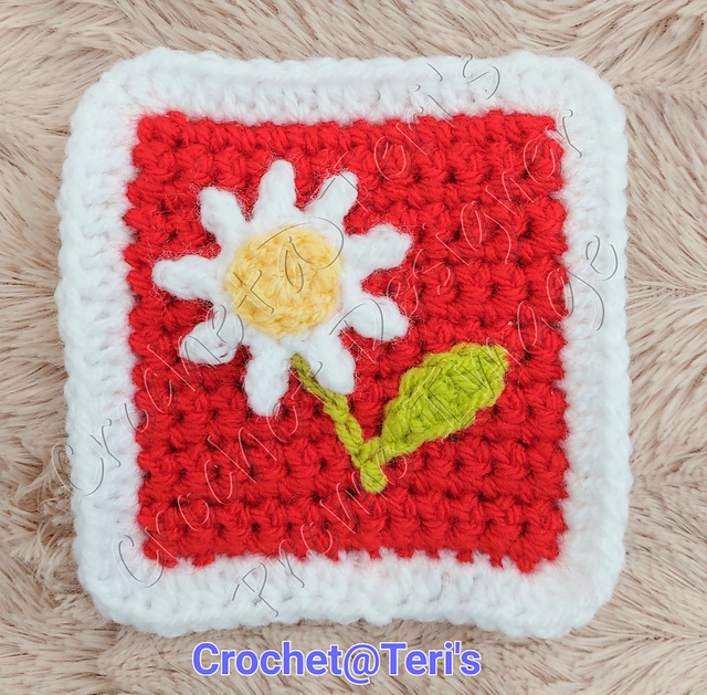 Daisy Square 4"