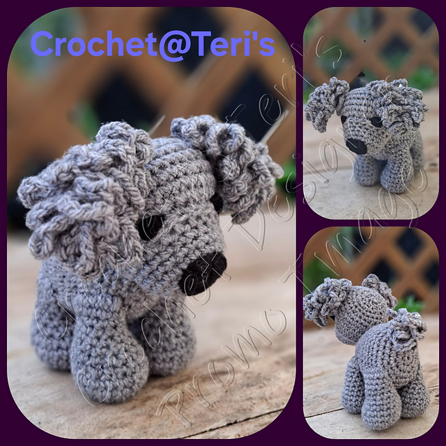 Pumi Puppy