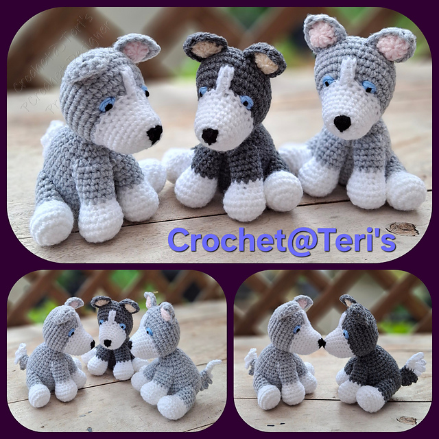 Husky Puppies