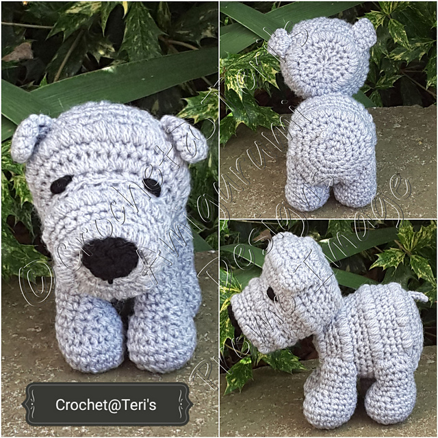 Shar-Pei Puppy