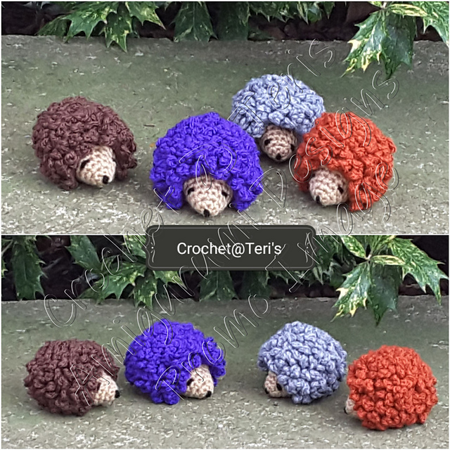Hedgehog