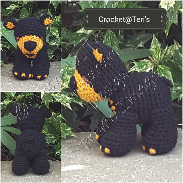 Sun Bear