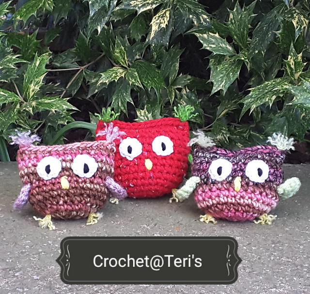 Scruffy Owls