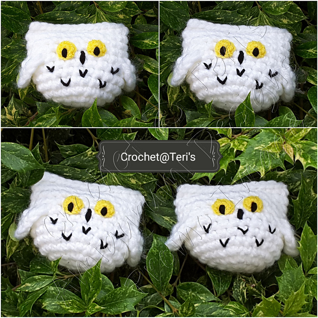 Snowy Owl
